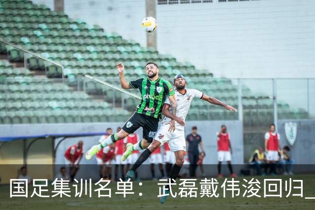 国足集训名单：武磊戴伟浚回归 李昊首次入围